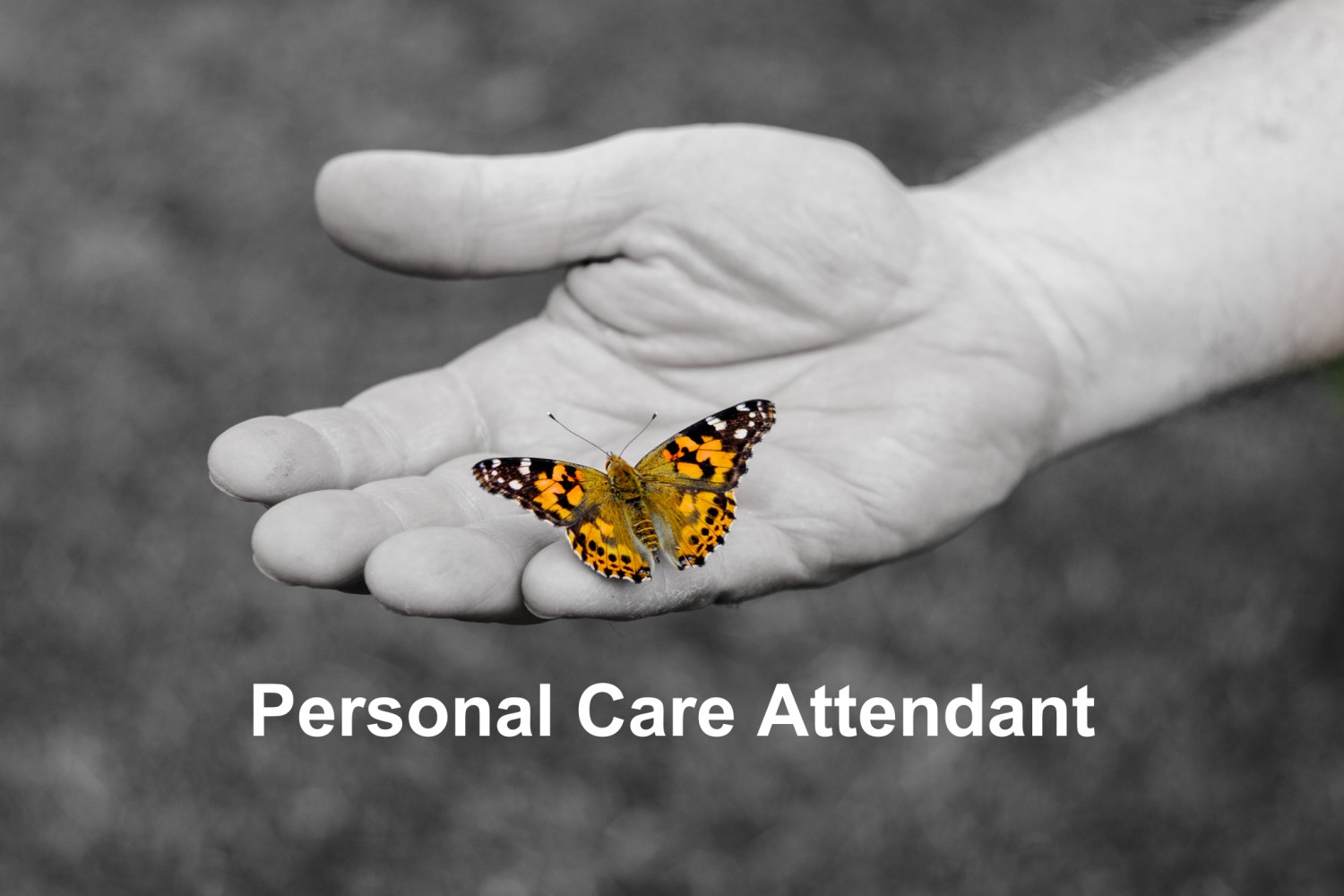 Featured Local Job: Full-time Personal Care Attendant